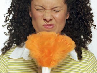 Woman With a Feather Duster