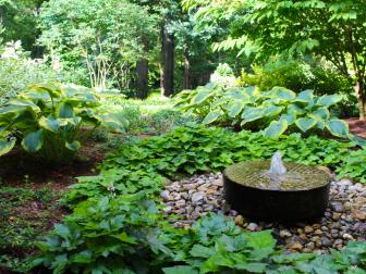 woodland garden with fountain