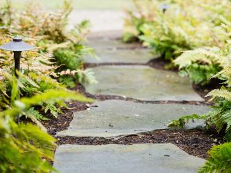 Flagstone Walkway With Cottage Garden Ferns And Lighting