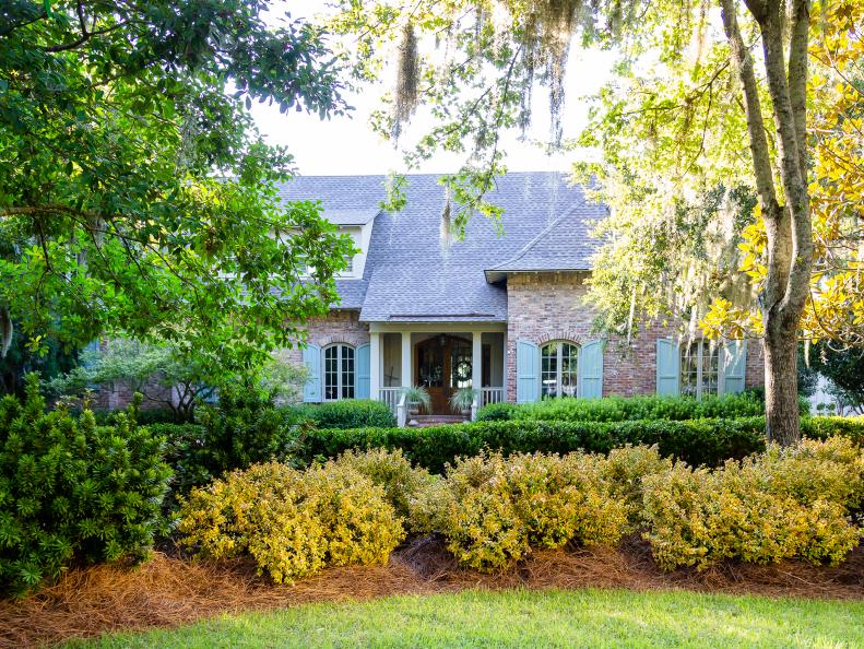 A row of abelia shrubs in front of a house.